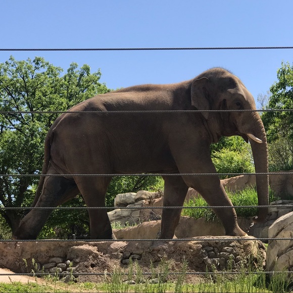 Meet your Posher, Mark - Picture 1 of 1